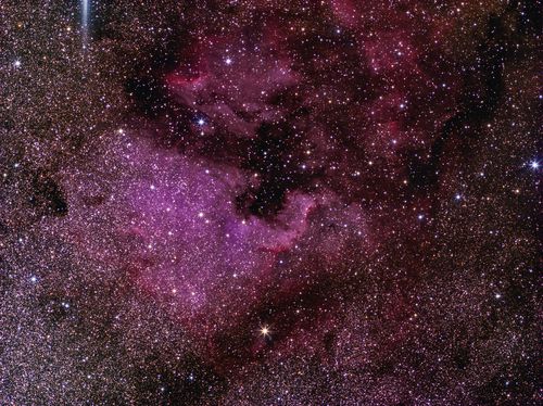 North America and Pelican Nebulas in Cygnus